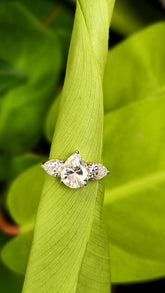 Tri- Pear Splendor Ring