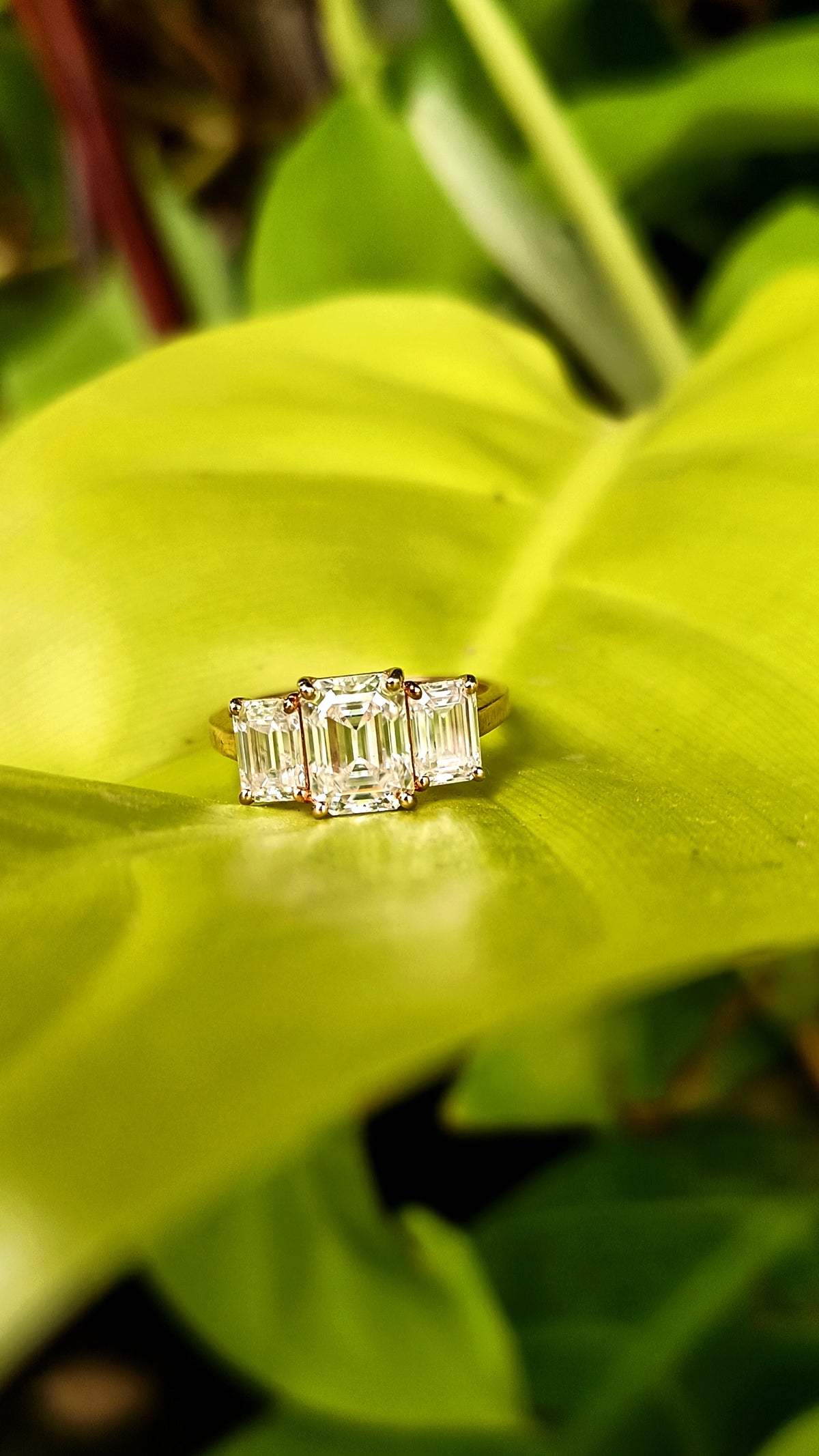 Rose Glow Triple Emerald Ring
