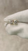Dual Tone Round Prong Studs