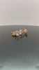 Radiant Elegance Earrings